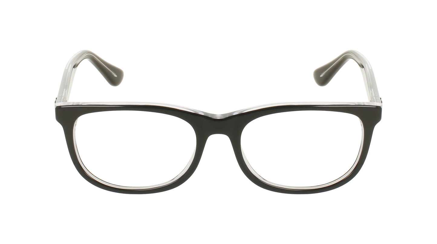 RAY BAN 1642