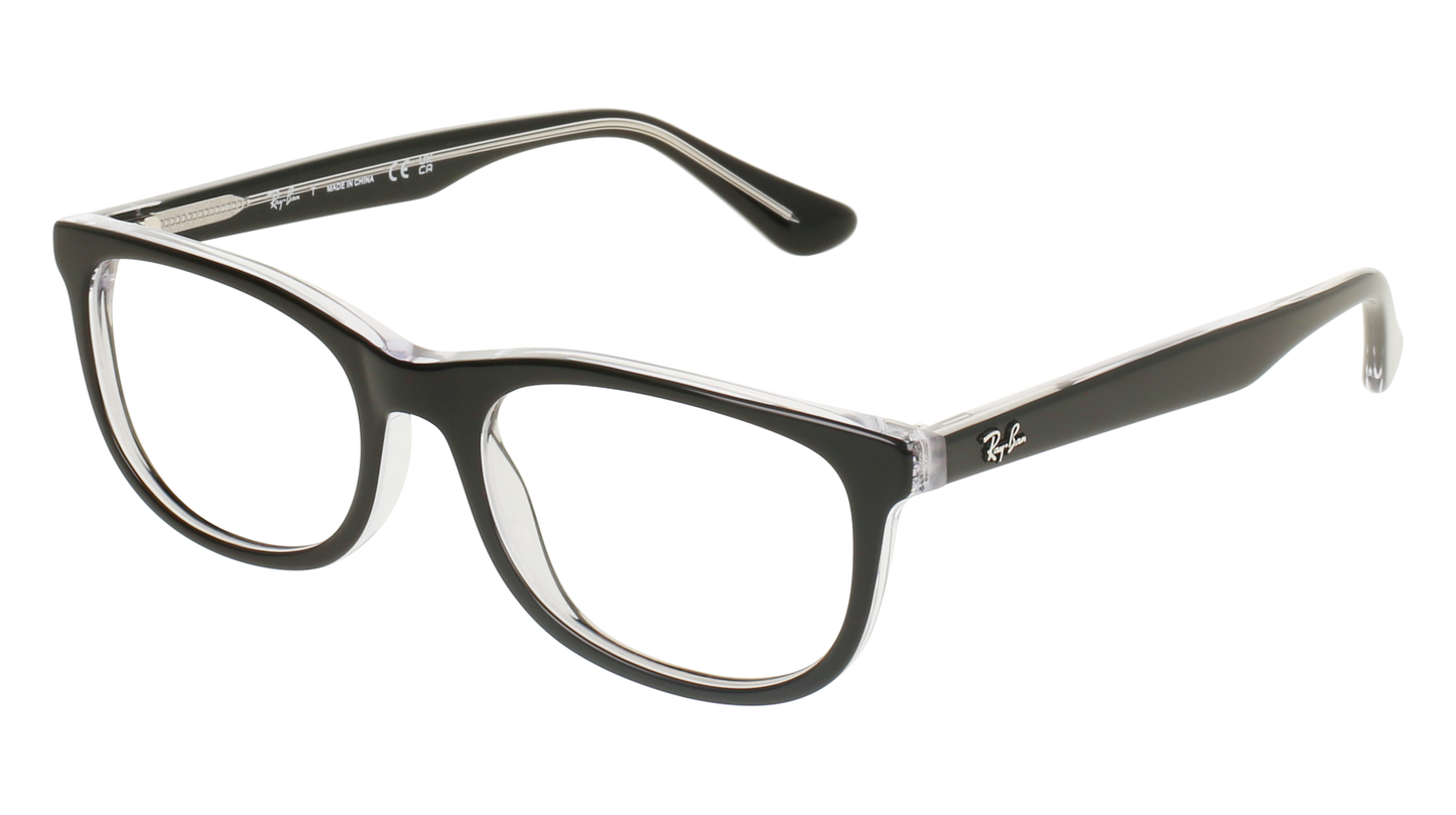 RAY BAN 1642