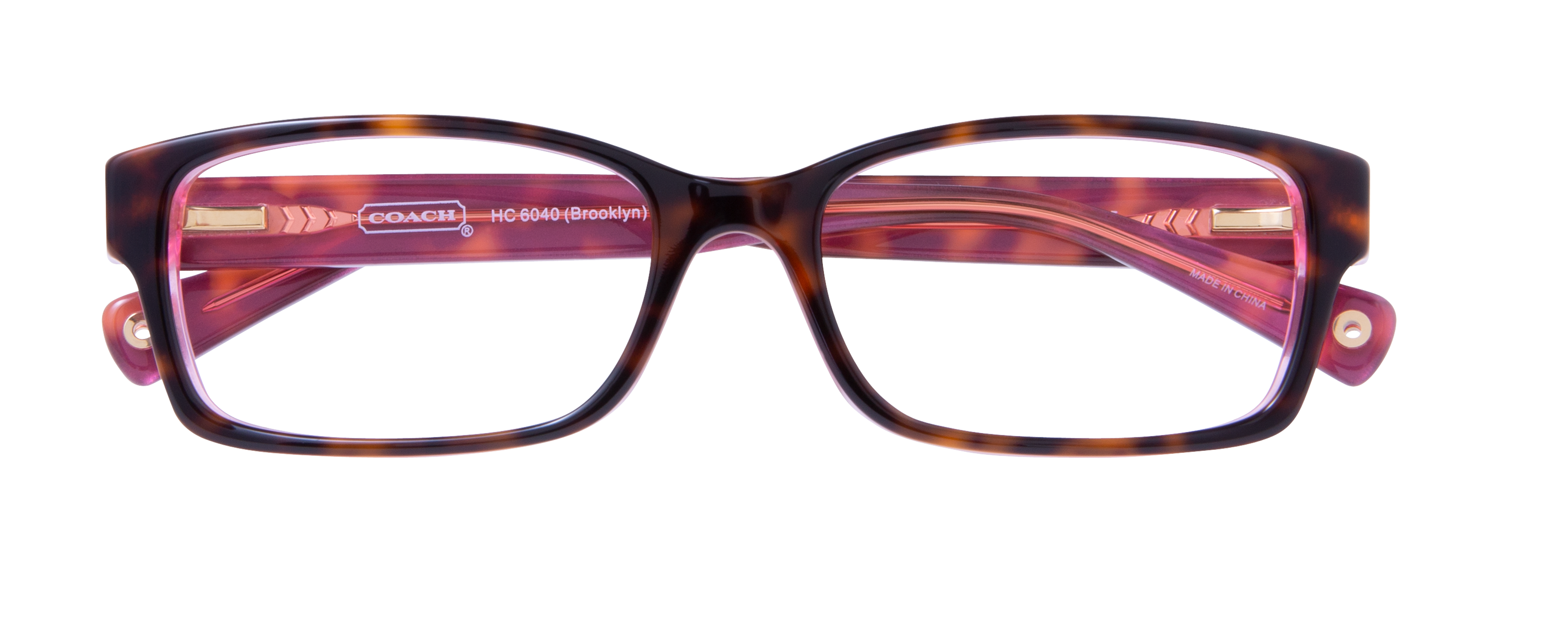 000264278436__Tortoise-