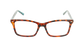 ECV AVA