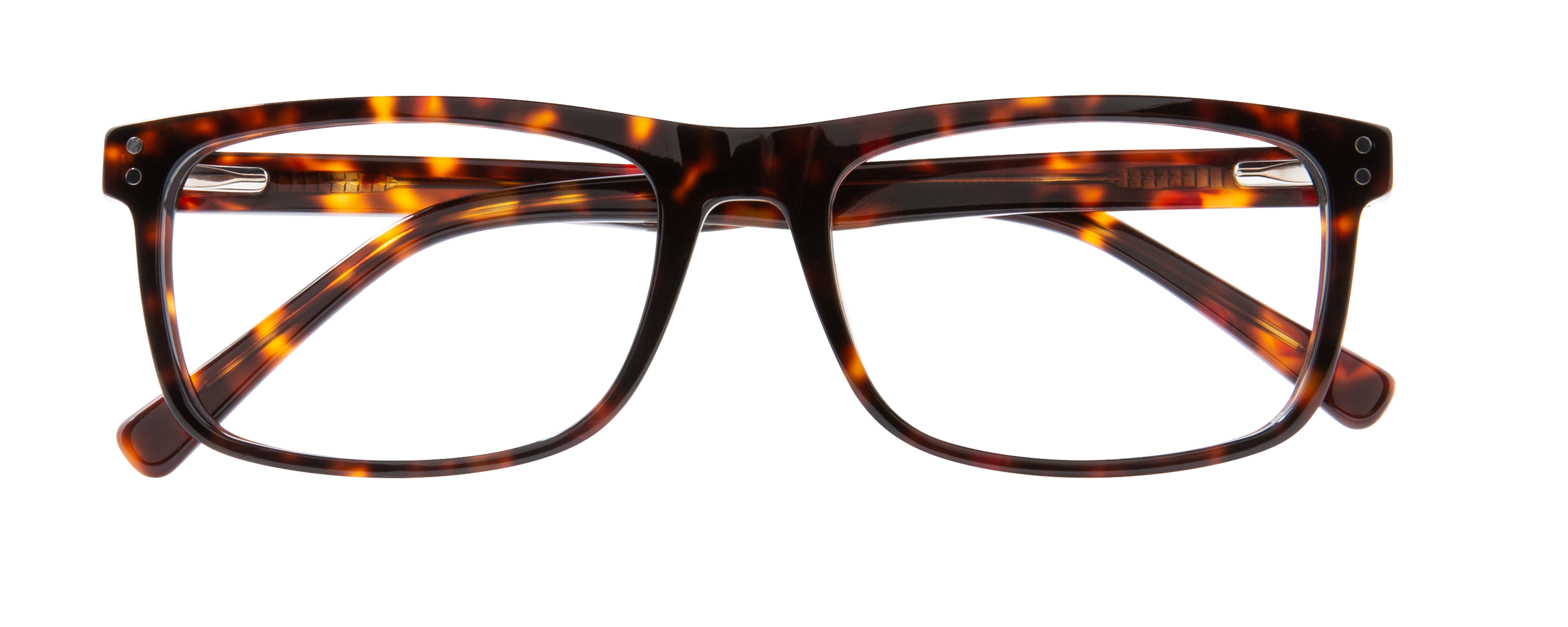 000446158818__Tortoise_01_4134