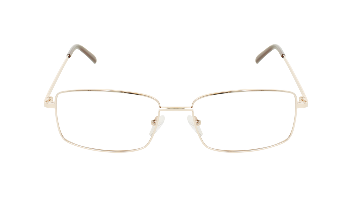 ECV EARL