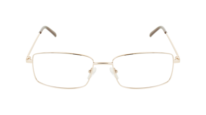 ECV EARL