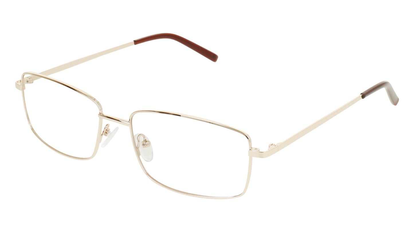 ECV EARL
