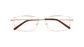 ECV EARL