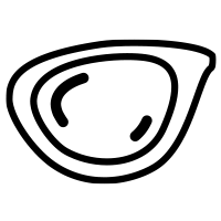 Plastic Lens Icon
