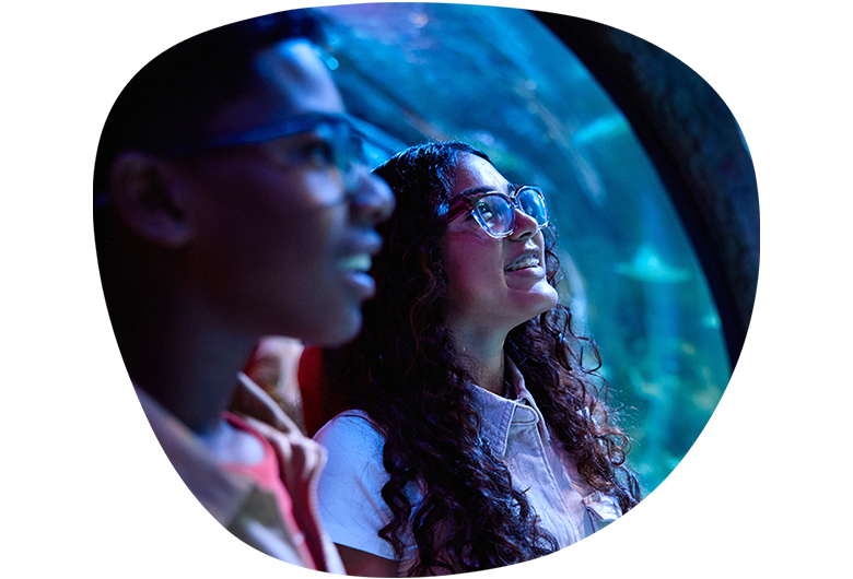 Kids looking at fish at an aquarium.